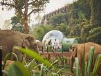 Anantara Golden Triangle Elephant Camp & Resort