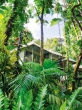 Daintree Ecolodge