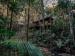 Narrows Escape Rainforest Retreat