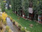 Aspen Winds on Fall River