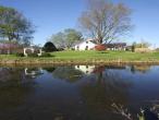 Montrose Farms Alpaca Ranch