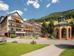 GesundheitsHotel Das Bad Peterstal