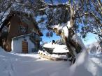 Alpine Retreat Mt Buller