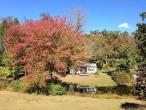 Echo Valley Cottages