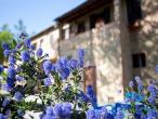 Agriturismo San Galgano