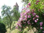 Weingut Gastehaus Weigand