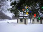 Mackinaw Timbers Cabins