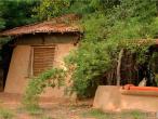 Mahua Kothi A Taj Safari Bandhavgarh National Park