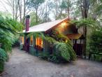 A Cottage in the Forest