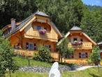 Chalet in Neukirchen for 4 People