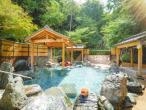 大江戸温泉物語 ホテルレオマの森