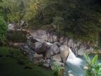 El Yunque Rainforest