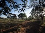 Room in Lodge - Mmakuba Private Game Lodge, Two Bedroom Villa 2