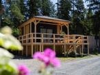 Luxury Chalet With ac Near Pressegger See