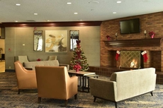 Radisson Hotel Niagara Falls-Grand Island