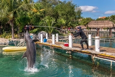 Puerto Aventuras Beach Resort