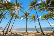 Alamanda Palm Cove by Lancemore