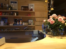 Hotel Bellevue - Traditional Swiss Hideaway