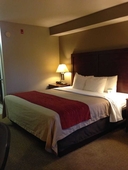 Comfort Inn & Suites Sequoia/Kings Canyon