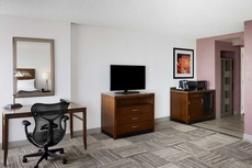 Hilton Garden Inn Denver South Park Meadows Area