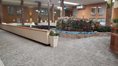 Quality Inn & Suites Alamosa