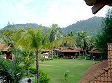 D'Coconut Island Resort