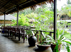 D'Coconut Island Resort