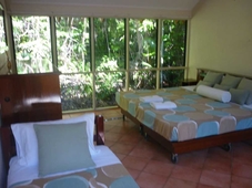 Ferntree Rainforest Lodge