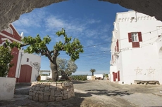 Masseria Torre Coccaro