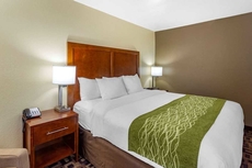 Comfort Inn & Suites North Aurora - Naperville