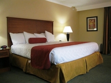 BEST WESTERN Plus International Speedway Hotel