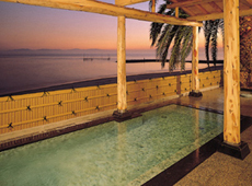 Shunkei Roman Gimpaso