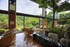 Fujisan Onsen Hotel Kaneyamaen