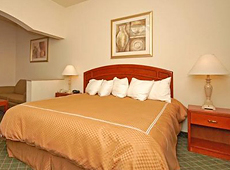 Comfort Suites, Amarillo (TX776)