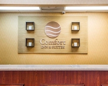 Comfort Inn & Suites at Stone Mountain