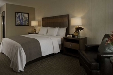 DoubleTree by Hilton Pittsburgh - Green Tree