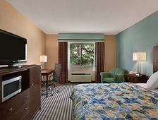 Days Inn by Wyndham Latham Albany Airport