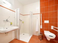 Zavis z Falkenstejna