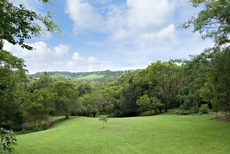 Tree Houses Of Montville