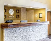 Comfort Inn & Suites near Tinley Park Amphitheater