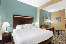 Best Western Plus McDonough Inn & Suites