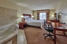 Hilton Garden Inn Las Cruces