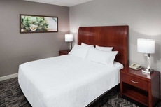 Hilton Garden Inn DallasAllen