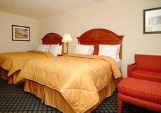 Comfort Inn Near Ellenton Outlet Mall