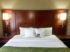 Comfort Suites Regency Park