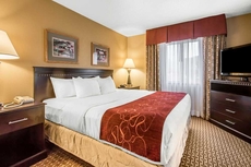 Comfort Suites Wisconsin Dells Area