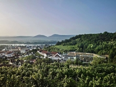 Steigenberger Hotel & Spa Krems