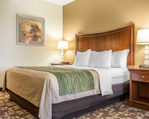 Comfort Inn & Suites, Orangeburg