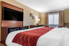 Comfort Inn & Suites Leeds I-20