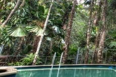 Daintree Wilderness Lodge